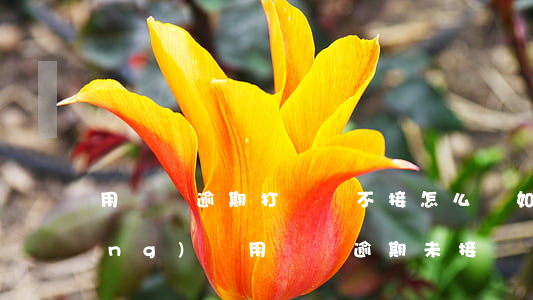 用錢寶逾期打電話不接怎么辦，如何應(yīng)對用錢寶逾期未接聽電話的情況？